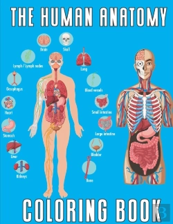Bertrand.pt - The Human Anatomy