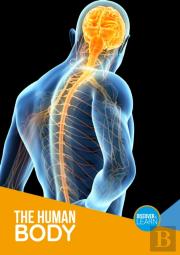 The Human Body