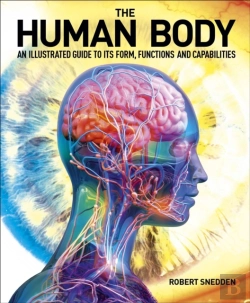 Bertrand.pt - The Human Body