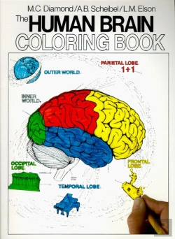 Bertrand.pt - The Human Brain Coloring Book