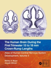 The Human Brain During The First Trimester 15- To 18-Mm Crown-Rump Lengths