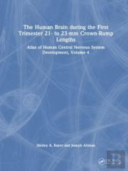 The Human Brain During The First Trimester 21- To 23-Mm Crown-Rump Lengths