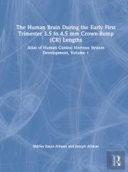 The Human Brain During The First Trimester 3.5- To 4.5-Mm Crown-Rump Lengths