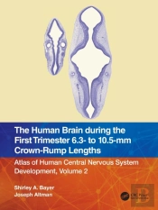 The Human Brain During The First Trimester 6.3- To 10.5-Mm Crown-Rump Lengths