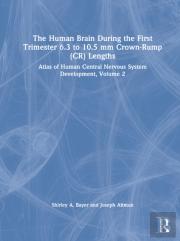 The Human Brain During The First Trimester 6.3- To 10.5-Mm Crown-Rump Lengths