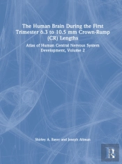 The Human Brain During The First Trimester 6.3- To 10.5-Mm Crown-Rump Lengths