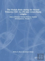 The Human Brain During The Second Trimester 160â€“ To 170â€“Mm Crown-Rump Lengths