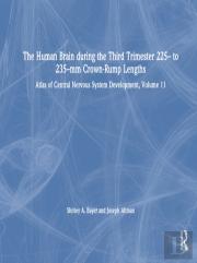 The Human Brain During The Third Trimester 225â€“ To 235â€“Mm Crown-Rump Lengths