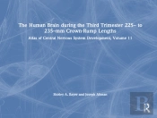The Human Brain During The Third Trimester 225â€“ To 235â€“Mm Crown-Rump Lengths
