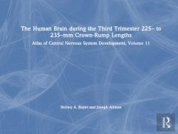 Bertrand.pt - The Human Brain During The Third Trimester 225â€“ To 235â€“Mm Crown-Rump Lengths