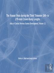 The Human Brain During The Third Trimester 260â€“ To 270â€“Mm Crown-Rump Lengths