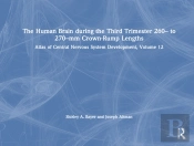 The Human Brain During The Third Trimester 260â€“ To 270â€“Mm Crown-Rump Lengths