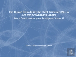 Bertrand.pt - The Human Brain During The Third Trimester 260â€“ To 270â€“Mm Crown-Rump Lengths