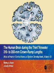 The Human Brain During The Third Trimester 310â€“ To 350â€“Mm Crown-Rump Lengths