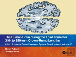 Bertrand.pt - The Human Brain During The Third Trimester 310â€“ To 350â€“Mm Crown-Rump Lengths