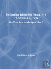 The Human Brain During The Third Trimester 310â€“ To 350â€“Mm Crown-Rump Lengths
