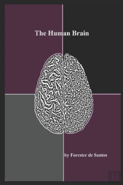 Bertrand.pt - The Human Brain