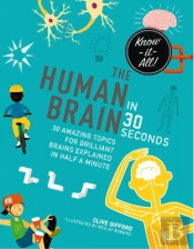 The Human Brain In 30 Seconds