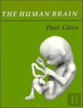 The Human Brain