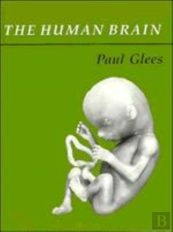 Bertrand.pt - The Human Brain