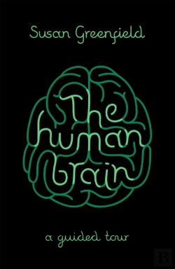Bertrand.pt - The Human Brain