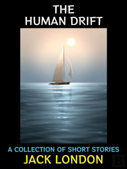 Bertrand.pt - The Human Drift