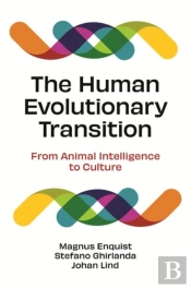 The Human Evolutionary Transition