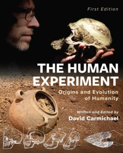 Bertrand.pt - The Human Experiment