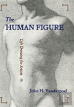 The Human Figure