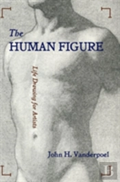 The Human Figure