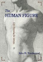 The Human Figure