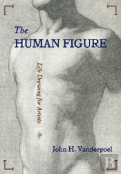 The Human Figure