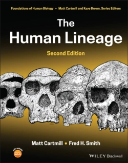 Bertrand.pt - The Human Lineage