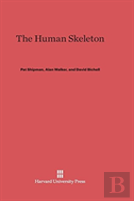 The Human Skeleton