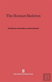 The Human Skeleton
