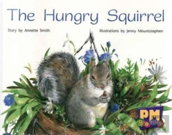 Bertrand.pt - The Hungry Squirrel