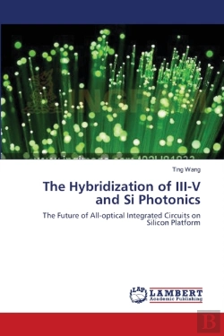 Bertrand.pt - The Hybridization Of Iii-V And Si Photonics