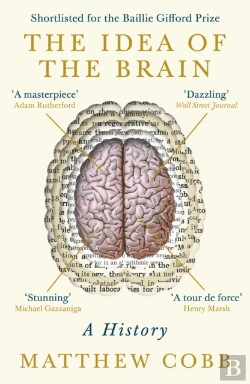 Bertrand.pt - The Idea Of The Brain