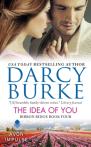 The Idea Of You