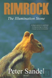 The Illumination Stone