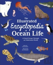 The Illustrated Encyclopedia Of Ocean Life