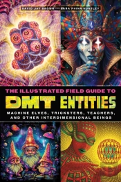 The Illustrated Field Guide To Dmt Entities