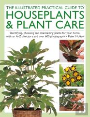 The Illustrated Practical Guide To Houseplants & Plant Care