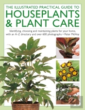 The Illustrated Practical Guide To Houseplants & Plant Care