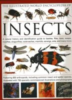 Bertrand.pt - The Illustrated World Encyclopaedia Of Insects