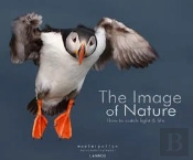 The Image Of Nature - How To Cath Light & Life