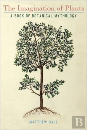 The Imagination Of Plants