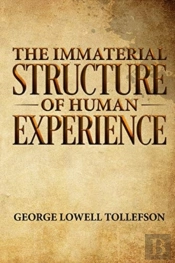 The Immaterial Structure Of Human Experience