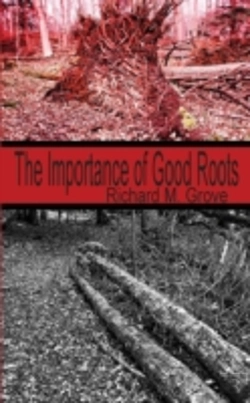 Bertrand.pt - The Importance Of Good Roots