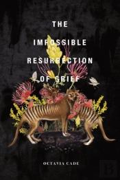 The Impossible Resurrection Of Grief